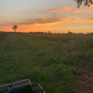 Meet your Posher, Austin